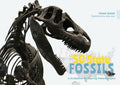 50 States Geoscience for Kids the 50 State Fossils: a Guidebook for Aspiring Paleontologists  Book 1  (Hardcover)