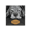 Old Dogs: Are the Best Dogs  (Hardcover)